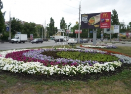 ландшафтный дизайнер: цветники в Воронеже